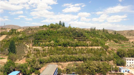 綠化荒山植樹(shù)造林